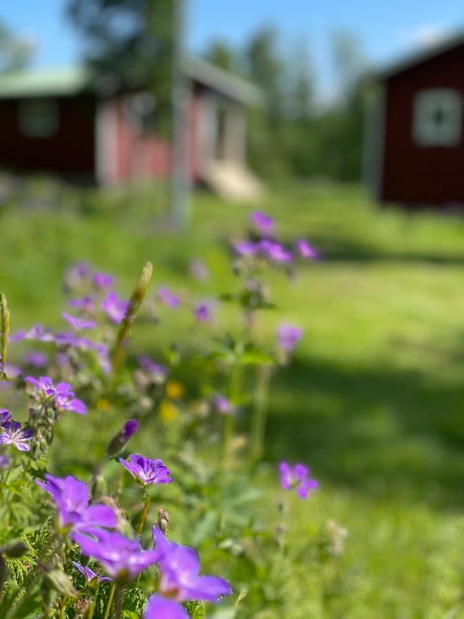 Taenndalens Stugby 빌라 외부 사진